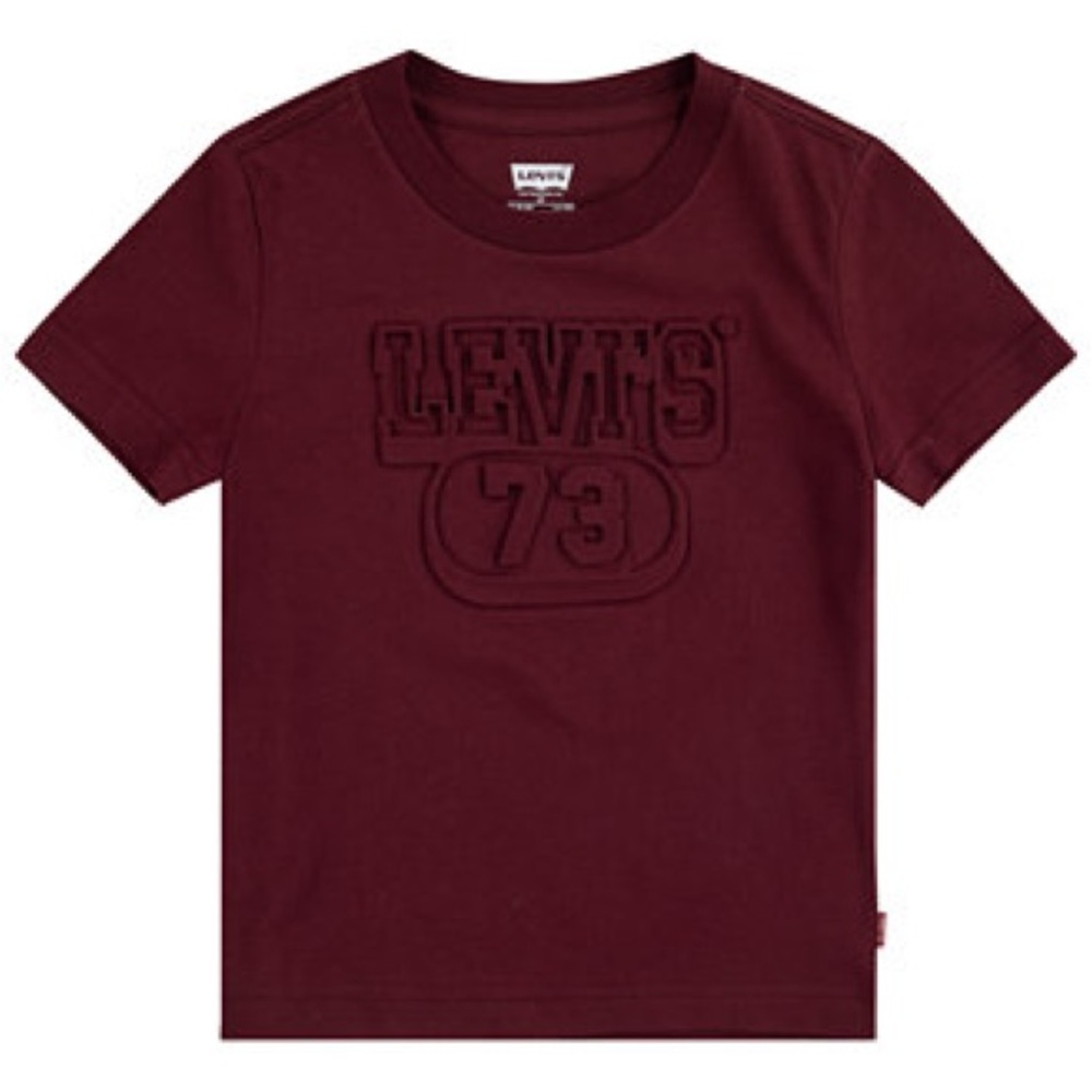 Levi’s‎ Toddler Boys Embossed Logo Tee – Size 4T 👕